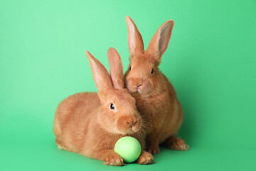 Cute bunnies and Easter egg on green background