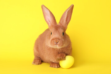 Fototapeta na wymiar Cute bunny and Easter egg on yellow background