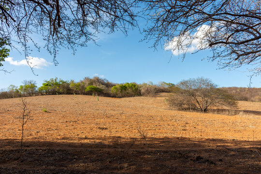 Paisagem de clima semi &aacute;rido durante a seca