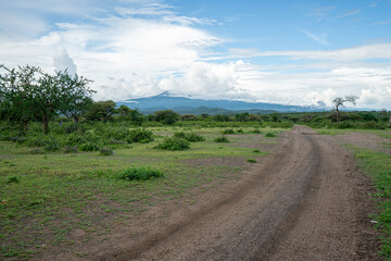 Fototapeta na wymiar Beautiful African road with a bush and blue sky.