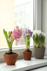 Fototapeta na wymiar Different flowers growing in ceramic pots on window sill