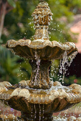 Fuente de agua	