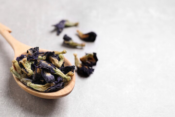 Fototapeta na wymiar Spoon and dry organic blue Anchan on light grey table, closeup with space for text. Herbal tea