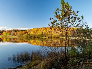 Keystone Lake in Keystone State Park in West Moreland County in the Laurel Highlands of Pennsylvania in the fall right before sunset with the fall foliage and trees reflecting in the water.