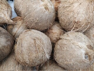Unpeeled coconuts, showing the shell of this peculiar fruit II