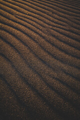 中田島砂丘に作られた風紋