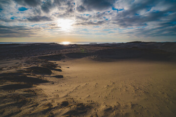 中田島砂丘の風景