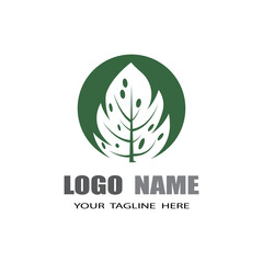 Monstera leaf logo vector design