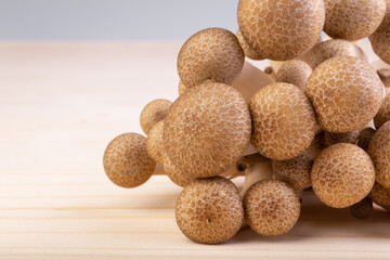 Shimeji mushroom or White beech mushrooms isolated on wood background.
