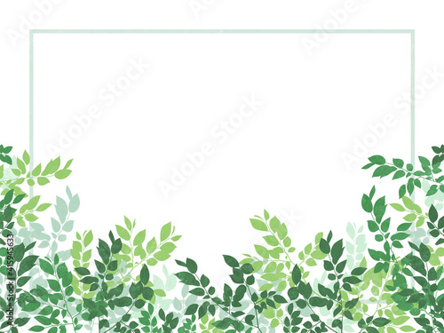 葉のシルエット フレーム 装飾 横長 Wall Mural Chie