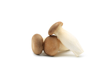 Orinji Mushrooms on white isolated background with clipping path.
