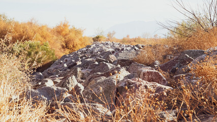 The_Wilderness_Pack_Vol.1_