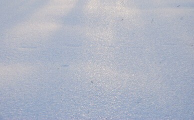 Snow cover on the bank of the Irtysh River