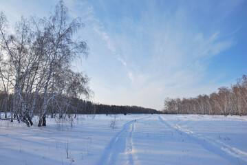 Winter landscape of Siberian fields