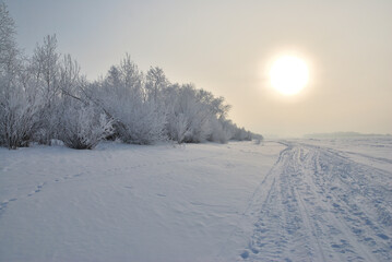 Winter fog in the vicinity of Omsk, Siberia Russia