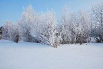 Winter fog in the vicinity of Omsk, Siberia Russia