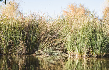 The_Wilderness_Pack_Vol.1_