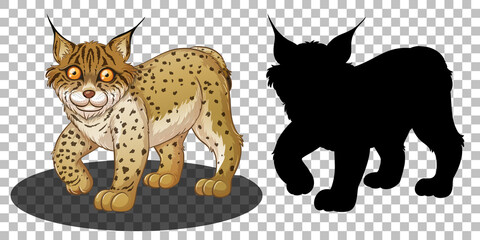 Fototapeta na wymiar Lynx cartoon character with its silhouette