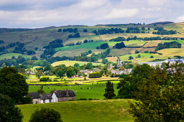 Obraz premium Located in the rolling hills of Cambria, one finds grazing cows roaming the dairy farm grounds.