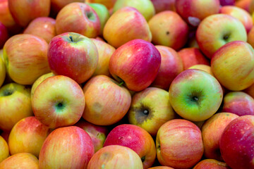 apple pattren. fruit background for grocery store or supermarket.