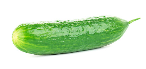 Fresh cucumber close-up isolated on a white background.