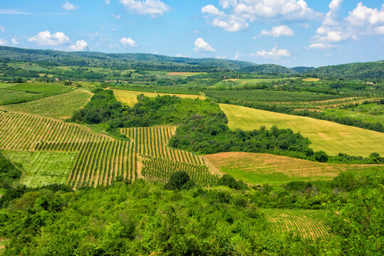 Winery, Sremski Karlovci, Serbia