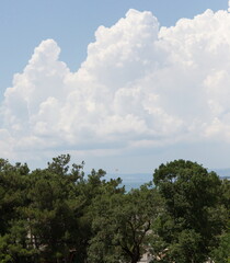 Obraz premium Russia Gelendzhik old Park tourism