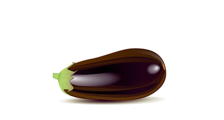 Eggplant (Baingan) drawing created by Indian artist.