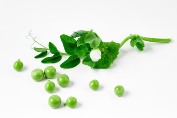 Young green polka dots on a white background.