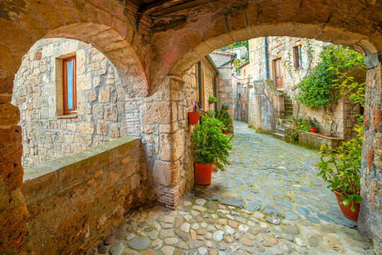 Fototapeta Narrow street in Medieval town with old tradition buildings and flowers
