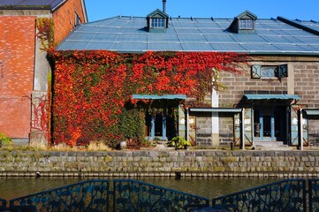 小樽運河の小樽倉庫と蔦もみじ