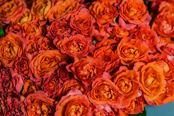 Close-up photo of a bouquet of many Rosebuds