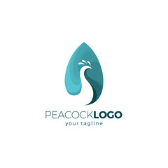 Obraz premium Peacock Logo Simple with turquoise color
