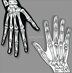 Naklejka premium hand skeleton drawn illustration of hand