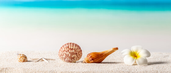 beach background, summer background concept