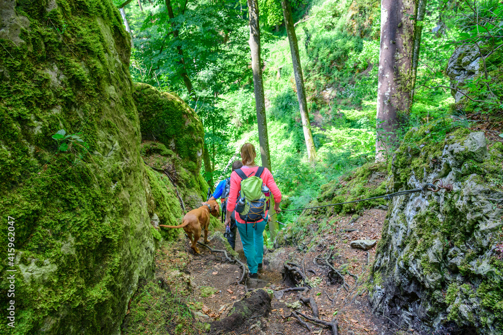 Wall mural Erlebniswanderung mit Hund im Naturpark Altmühltal auf dem Jägersteig nahe Dollnstein