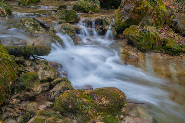 Fototapeta na wymiar Rinnerberger Wasserfall und Klamm im Nationalpark Kalkalpen - Oberösterreich