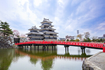 Obraz premium View of Matsumoto castle during Cherry Blossom full bloom , Nagano Prefecture, Japan.