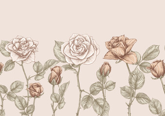 Seamless pattern with roses flowers. Colored vector illustration. In beige vintage colors
