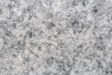 snow background. white background. christmas card background image