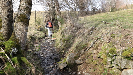 rando dans les chemins creux auvergnats