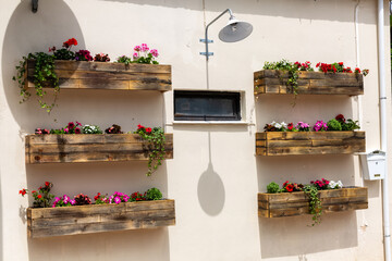 Beautiful flowers in the wall