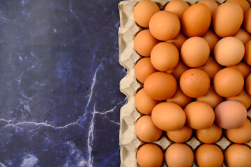 close up egg on wood table background