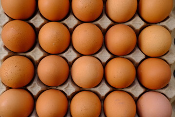 close up egg on wood table background