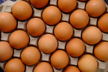 close up egg on wood table background