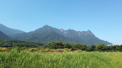Fototapeta premium 屋久島 国立公園 鹿児島