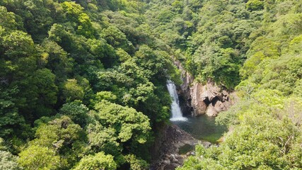 屋久島 竜神の滝 屋久杉 国立公園 鹿児島