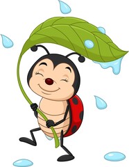 Cartoon ladybug holding a green leaf