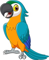 Cartoon blue macaw isolated on white background