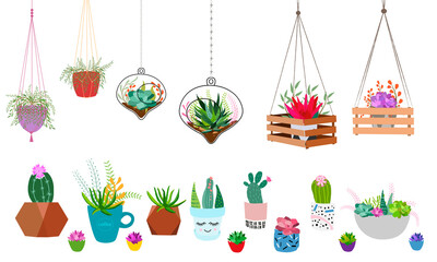 Set of indoor plants in pots for home and office. A large collection of cute houseplants in pots including cacti, aloe and other succulents. Vector collection of doodle plants.